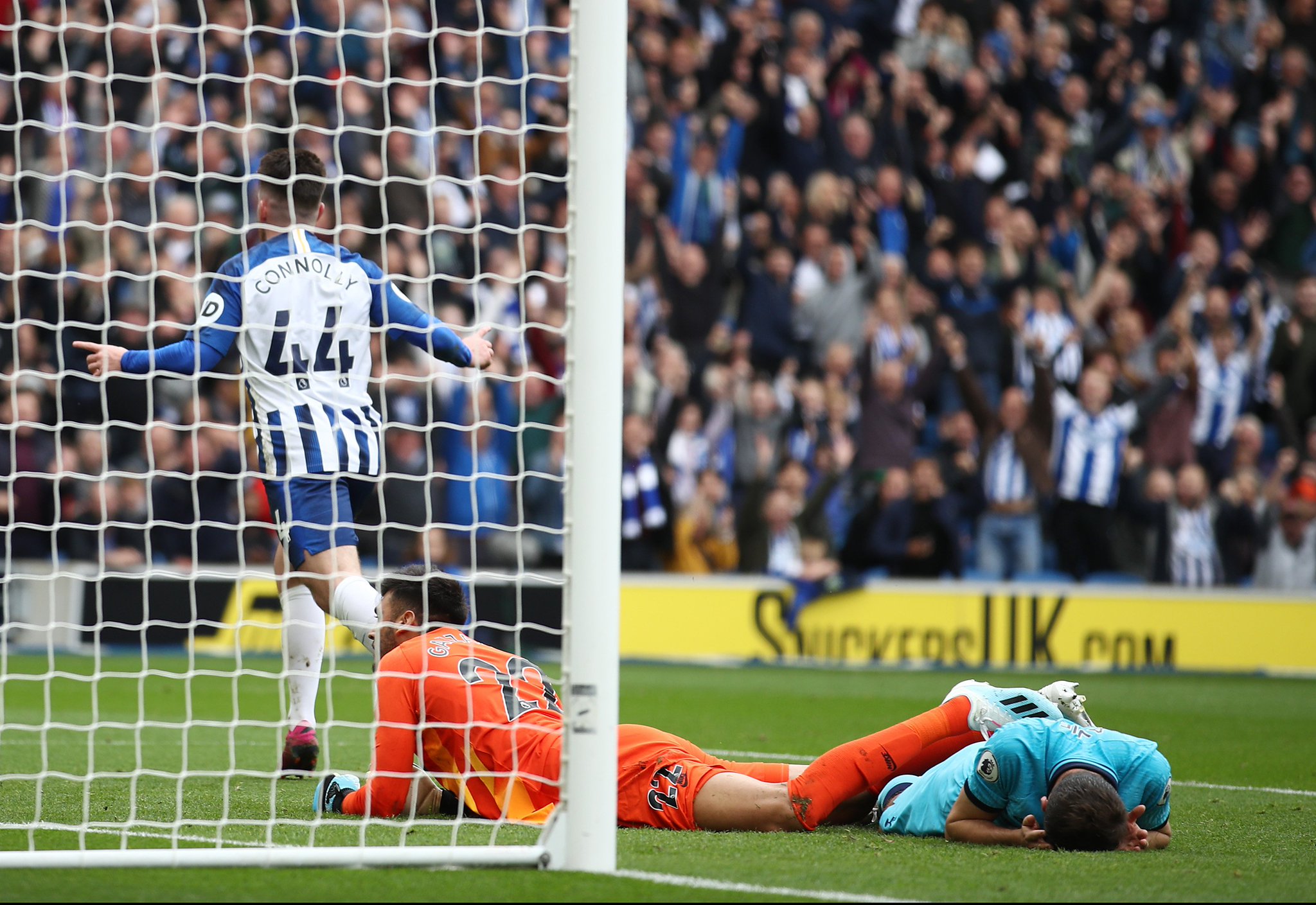 国际排联和 国际排联和